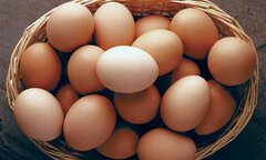 Có nên bảo quản trứng trong tủ lạnh?