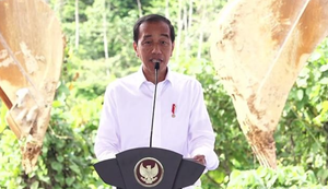 Thủ đô mới của Indonesia chỉ cho phép xe điện hoạt động