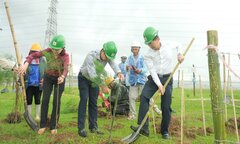 Petrovietnam: Trồng cây xanh - Giải pháp quan trọng trong chuyển dịch năng lượng