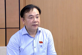 ĐBQH: Bảo tồn di tích ồ ạt có thể biến nhiều công trình nghìn tuổi thành 1 tuổi 