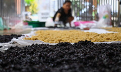 'Thủ phủ' rượu nếp ở Hà Nội sáng đèn suốt đêm trước ngày Tết Đoan Ngọ
