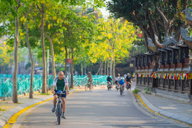 Những con đường ven hồ Tây đẹp nao lòng mùa hoa đa sắc màu