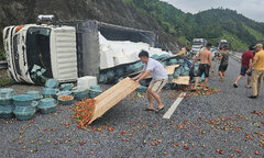 Xe tải lật nhào, cả tấn dâu tây đổ tràn ra cao tốc Nội Bài - Lào Cai