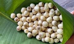 11 công dụng tuyệt vời của hạt sen với sức khoẻ không phải ai cũng biết