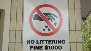 Đóng phạt 50 triệu, ngồi tù lên tới 3 tháng vì xả rác nơi công cộng