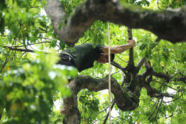 Kiếm tiền mưu sinh với nghề 'treo người' giữa lưng chừng trời ở Hà Nội