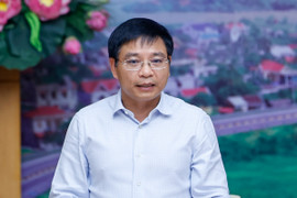 Bộ trưởng GTVT thông tin việc nghi dùng cát biển làm nền cao tốc khiến lúa chết