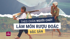 Kỳ lạ loại rượu duy nhất chảy ra từ thân cây