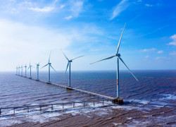 Việt Nam cần thêm 56 GW điện tái tạo để đạt mức trung hòa khí hậu năm 2050