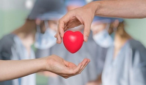 36 người Việt qua đời mỗi ngày vì không có tạng để ghép