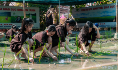 Lạc vào ma trận các khoá học hè, nhiều phụ huynh loay hoay sập bẫy