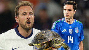 Rùa tiên tri dự đoán EURO 2024 hôm nay 20/6: Italy thắng Tây Ban Nha