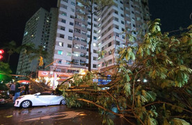 Dự báo tình hình dông lốc, mưa to cục bộ trên phạm vi cả nước trong 10 ngày tới