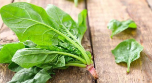 Ăn một mớ rau này tốt ngang nhân sâm, giá rẻ như cho