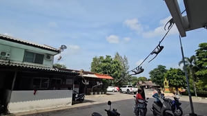 Đàn khỉ hung hãn đu dây diện xông vào đồn cảnh sát ở Thái Lan