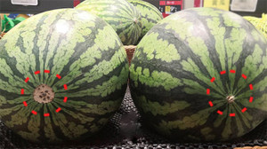 Không cần vỗ, chỉ cần nhìn điểm này là chọn được dưa hấu vừa ngọt vừa đỏ