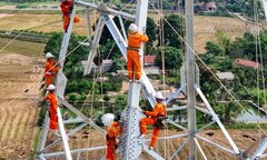 Còn chưa đầy 1 tuần để hoàn thành dự án đường dây 500kV Nam Định 1 - Thanh Hóa