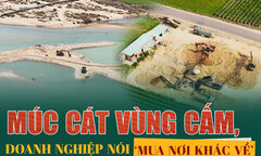 Múc cát vùng cấm, doanh nghiệp ở Bình Định nói ‘mua nơi khác về’