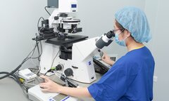 Gần 150.000 trẻ ra đời nhờ kỹ thuật thụ tinh trong ống nghiệm