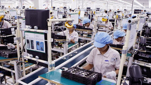 Đại biểu Quốc hội: Sửa đổi Nghị định 132 cần 'trúng' và 'đúng'