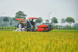 Đề xuất giảm phí trước bạ ô tô, đánh thuế VAT với phân bón: Có gây nghịch lý?