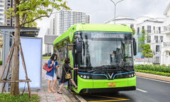 Trên 80% người đi xe bus điện là dân văn phòng