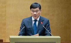 Người vi phạm đấu giá có thể bị truy cứu trách nhiệm hình sự
