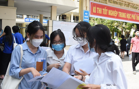 Gợi ý đáp án mã đề 117 môn Toán thi tốt nghiệp THPT 2024