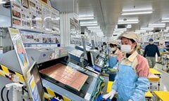 Mỗi tháng, 19,9 nghìn doanh nghiệp thành lập mới và quay lại hoạt động