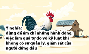 Đố bạn trong 10 giây đoán được câu thành ngữ này
