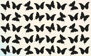 90% chịu thua: Tìm con bướm khác những con còn lại trong 30 giây