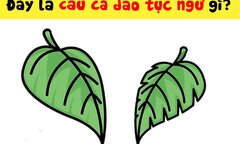 10 người thì 9 người không đoán ra câu tục ngữ này trong 3 giây