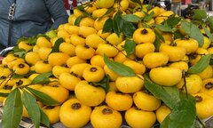 Khách lùng mua, thị sáp đầu mùa giá siêu đắt vẫn 'cháy hàng'