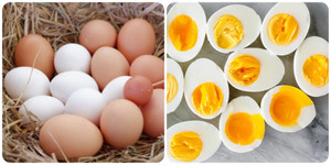 Trứng rất tốt nhưng nên ăn mấy quả trứng một tuần?