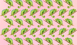 Đố bạn tìm ra con tắc kè thè lưỡi trong 5 giây