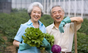 Bí quyết trường thọ của 1.000 người cao tuổi: Không đến từ thói quen tập thể dục