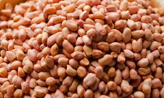 Loại hạt quen thuộc có tác dụng phòng ung thư, chống sa sút trí tuệ