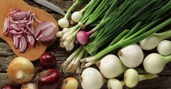 Tác dụng chữa bệnh của hành