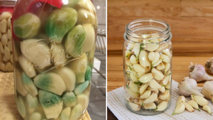 Vì sao tỏi ngâm giấm dễ chuyển thành màu xanh?