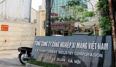 Thanh tra Tổng Công ty Xi măng Việt Nam và 3 công ty con