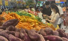 Cải cách tiền lương là đòn bẩy quan trọng cho người lao động
