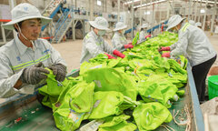 Sếp Duy Tân Recycling: Mỗi ngày gom 180 tấn chai nhựa thải ra môi trường