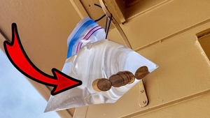 Muốn nhà sạch ruồi chỉ cần treo túi nước này ở cửa