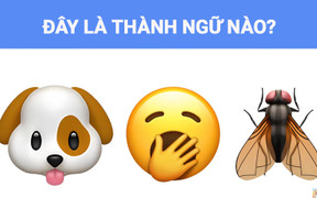 Không cần quá thông minh cũng đoán ra câu thành ngữ này trong 5 giây