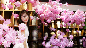 Chị đẹp Hà Thành biến nhà thành rừng hoa nhiệt đới với 1.000 bông sen Nghi Lương