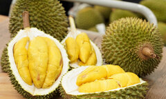 Những bài thuốc trị bệnh từ sầu riêng bạn nên biết
