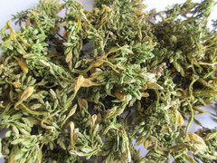 Hoa đu đủ đực tươi và hoa đu đủ đực khô, dùng loại nào tốt hơn?