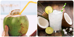 Uống nước dừa hàng ngày có tốt cho sức khoẻ?