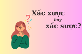 Thử thách Tiếng Việt: 'Xấc xược' hay 'xấc sược'?