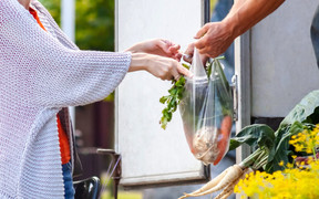 Tại sao không nên cho rau củ đựng trong túi nylon vào tủ lạnh?